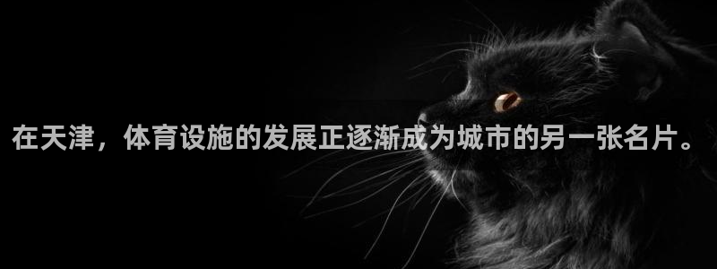 意昂体育4招商电话是多少:在天津,体育设施的发展正逐渐成为城